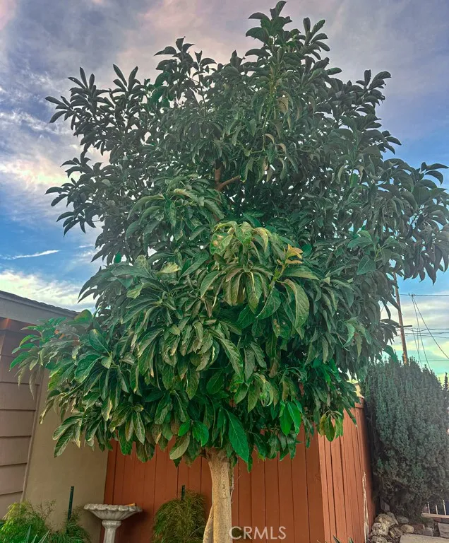 2425 Heather Avenue, Long Beach, California 90815 home-pic-55